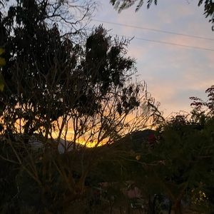 Meet your Posher, Daniela